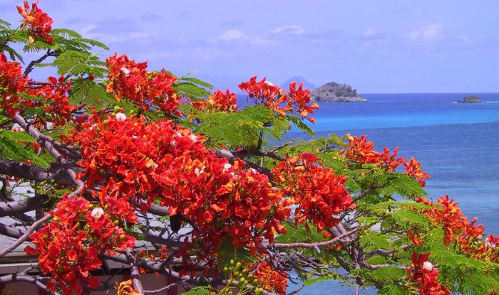 {short description of image}