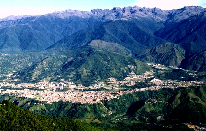 {short description of image}