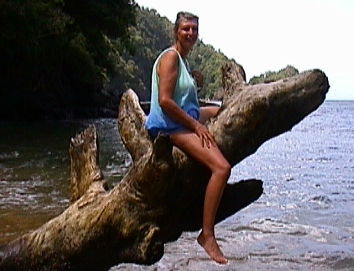 {short description of image}