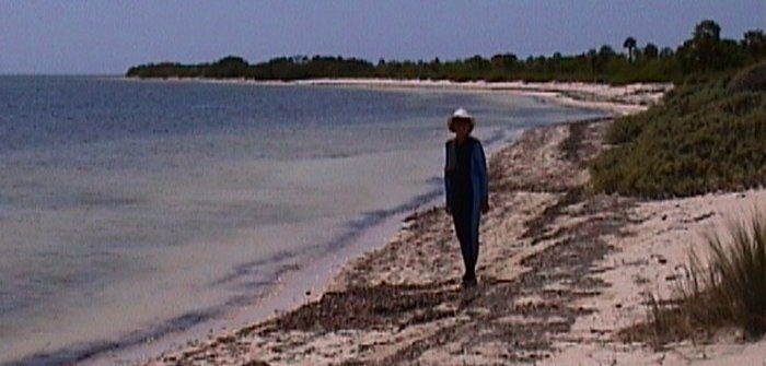 {short description of image}