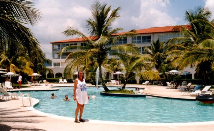 {short description of image}