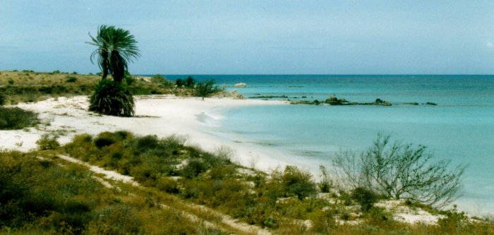 {short description of image}