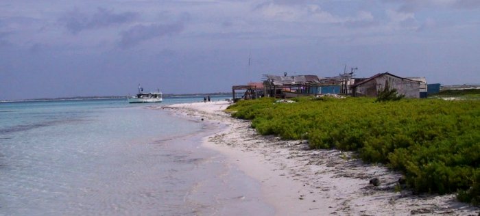 {short description of image}