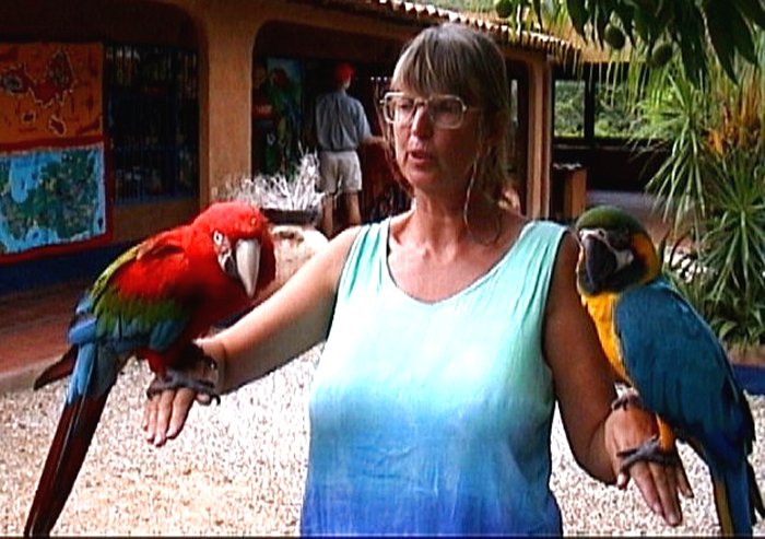 {short description of image}